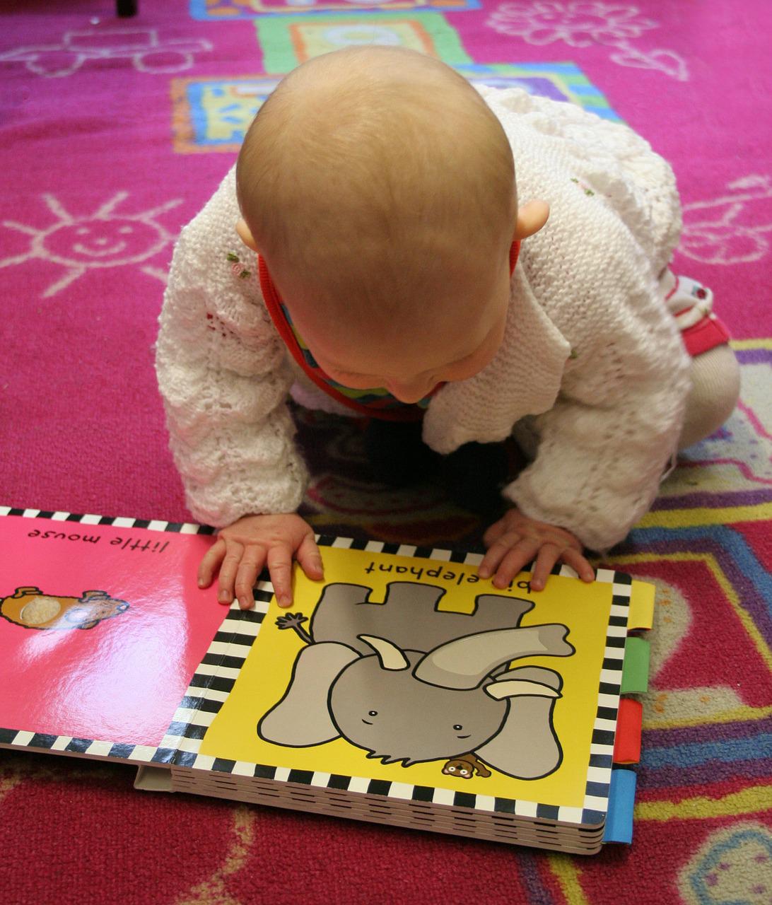 baby reading a book